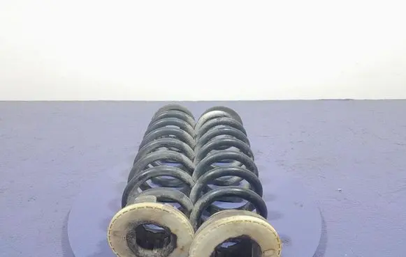 Opel Insignia A Rear coil spring 