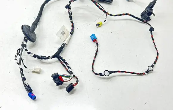 Front door wiring loom