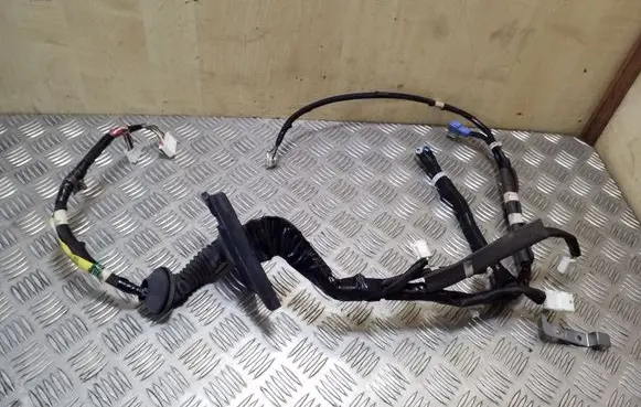 Lexus CT 200H Front door wiring loom 8215276200