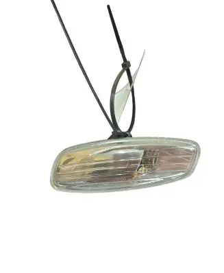 Front fender indicator light