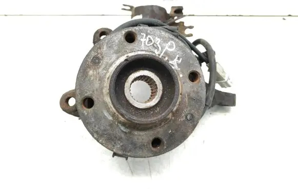 Citroen Xsara Picasso Front wheel hub spindle knuckle