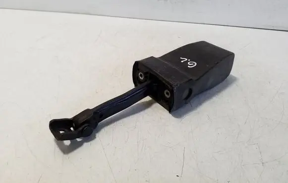 Skoda Superb B6 (3T) Rear door check strap stopper 3T0839249