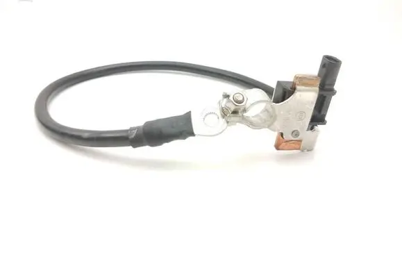 Other wiring loom