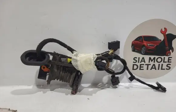 Volkswagen PASSAT B6 Front door wiring loom 3c0971615