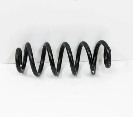 Rear coil spring
