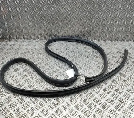 Mitsubishi L200 Rubber seal front coupe door 5725A311