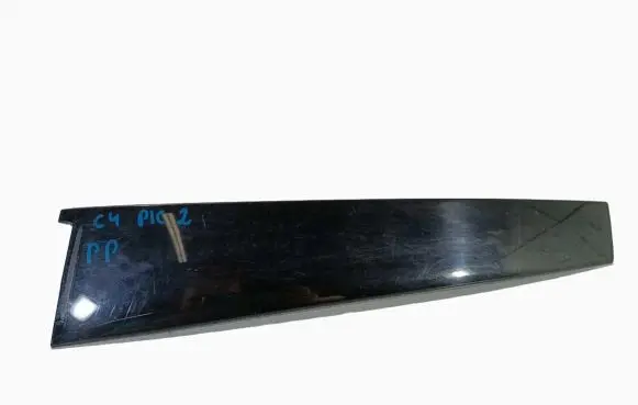 Citroen C4 II Picasso Front door trim (molding) 9677074380