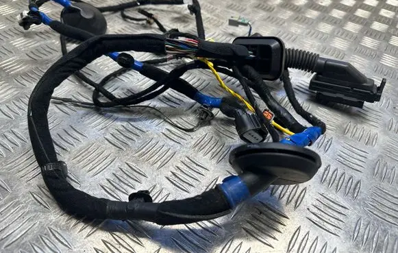 KIA EV6 Front door wiring loom 91600 CV760A