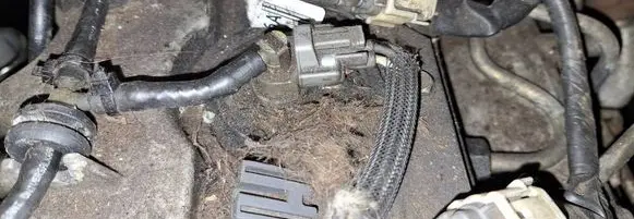 Mazda 6 Fuel injector
