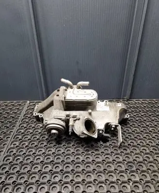 Chrysler Grand Voyager V Intake manifold 11042028G 701249090 B130100022B