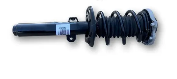 BMW X1 U11 Front shock absorber with coil spring