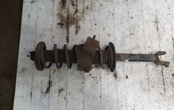 Honda Accord Rear shock absorber with coil spring NOCODE