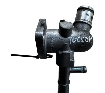 Thermostat/thermostat housing