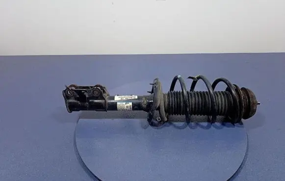 KIA Picanto Front shock absorber with coil spring 54650-G6200