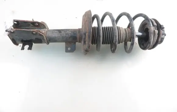 Fiat Bravo Front shock absorber with coil spring 351951070000