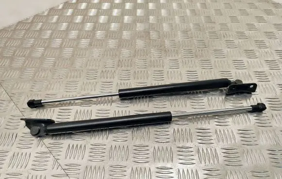 Tailgate/trunk strut/damper