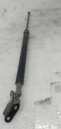 Tailgate strut