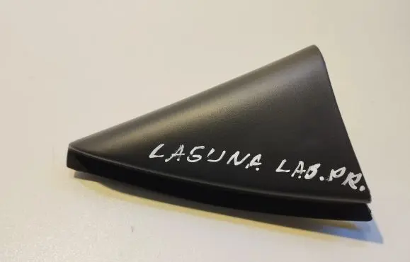 Renault Laguna II Other front door trim element 8200000088 28091