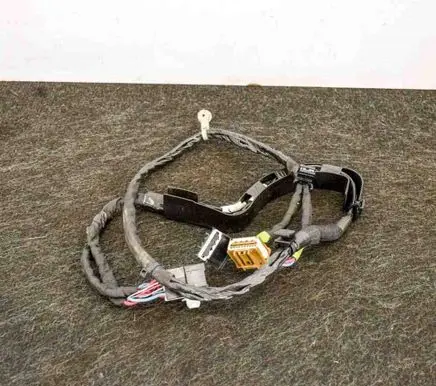 Tesla Model X Other wiring loom 106433600B