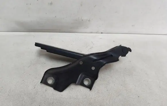 Volkswagen PASSAT B8 Engine bonnet/hood hinges 3G0823302