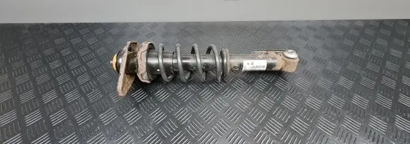 Mini Cooper Countryman R60 Rear shock absorber/damper 9807018 980701802 3654714941510