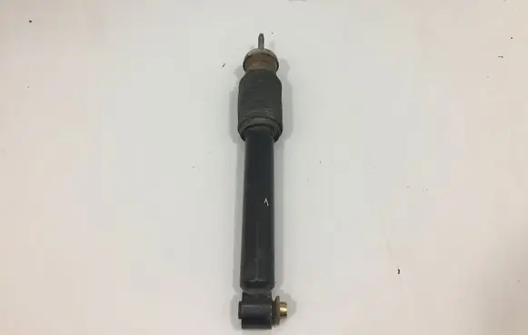 BMW X5 E53 Rear shock absorber/damper 6751543