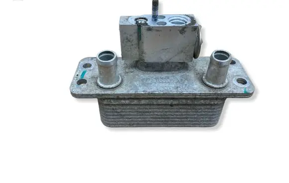 Tesla Model S Air conditioning (A/C) air dryer 101954100B