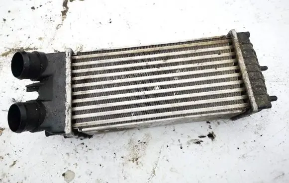 Citroen Xsara Picasso Intercooler radiator 2021w12 96550