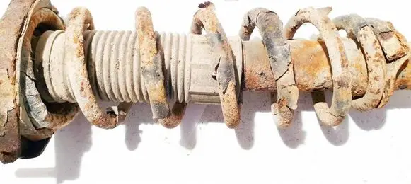 Rear coil spring