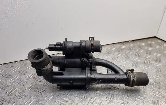 Citroen Berlingo Thermostat/thermostat housing 9660660380