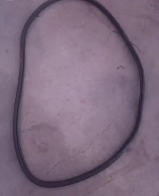 Skoda Octavia Mk3 (5E) Rear door rubber seal (on body) 5E9867368