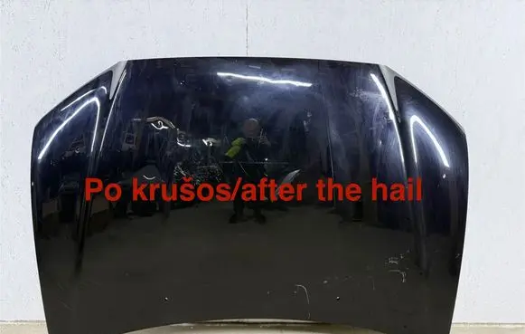 Engine bonnet/hood