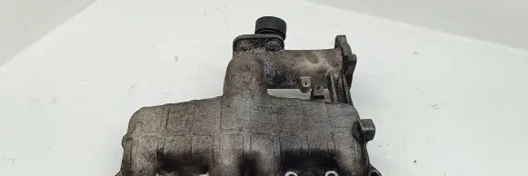 Volkswagen Golf IV Intake manifold 038129713J