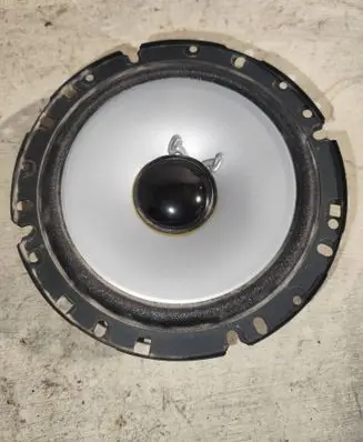 Rear door speaker