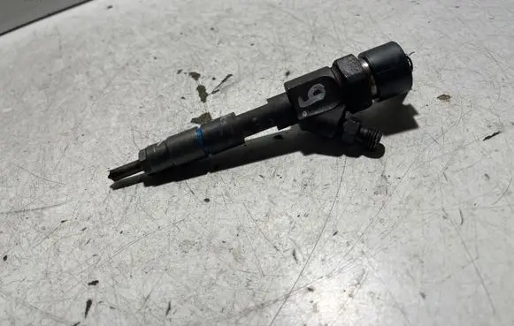 Renault Espace - Grand espace IV Fuel injector 0445110110b