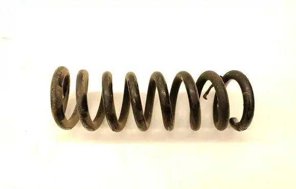 Rear coil spring