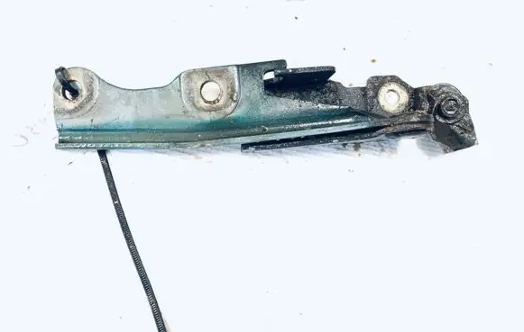 Mitsubishi Space Wagon Engine bonnet/hood hinges