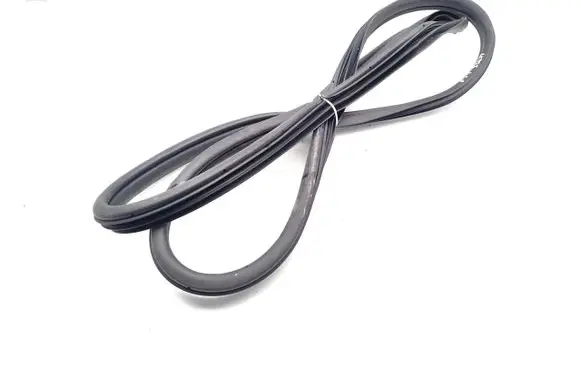 Hyundai Kona I Rear door rubber seal (on body) 