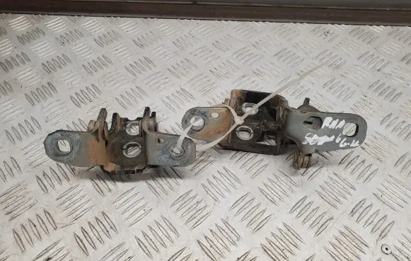 Dodge RAM Rear door hinge set 