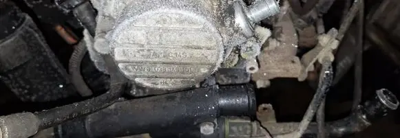 Volkswagen Bora Vacuum pump 038145101B