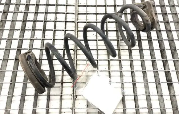 Rear coil spring