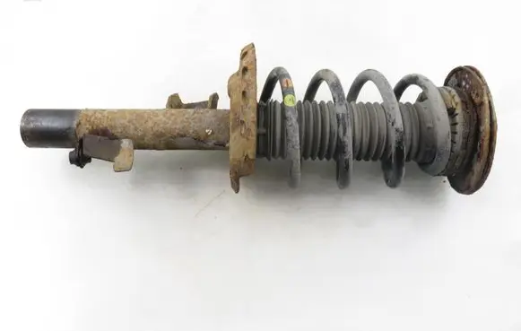 Ford S-MAX Front shock absorber with coil spring 