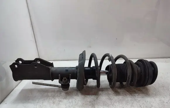 Opel Insignia A Front shock absorber with coil spring