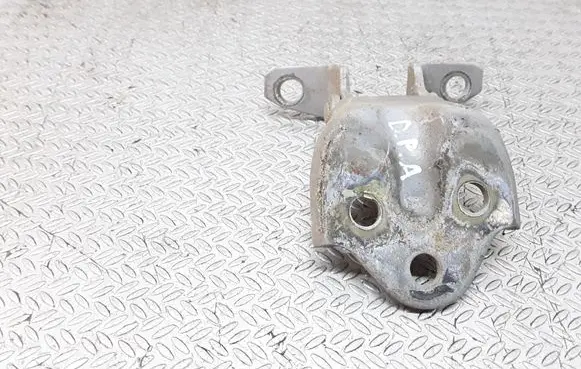 Hyundai Terracan Front door lower hinge 
