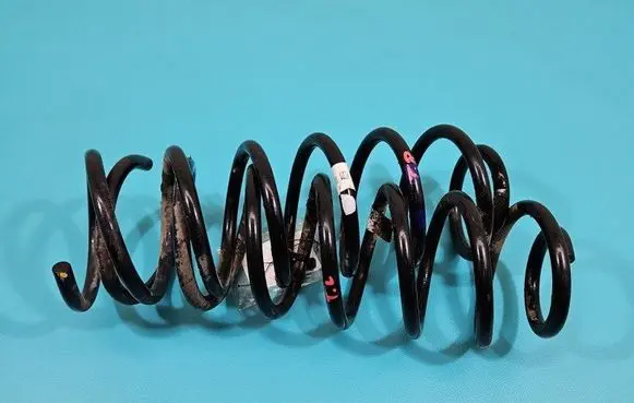 Rear coil spring