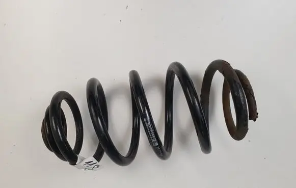 Rear coil spring