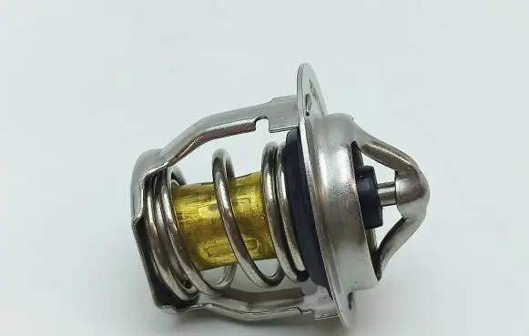 Microcar M.GO Thermostat 1005058 11962149801