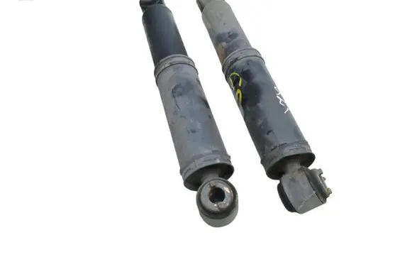 Citroen Jumpy Rear shock absorber/damper 9816510180 0309100080 0081037H01