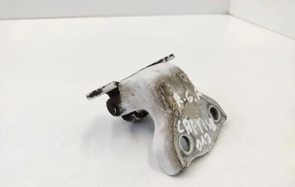 Rear door lower hinge