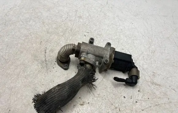Suzuki SX4 EGR valve